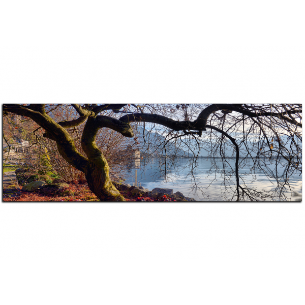 Obraz na plátně - Podzim u jezera - panoráma